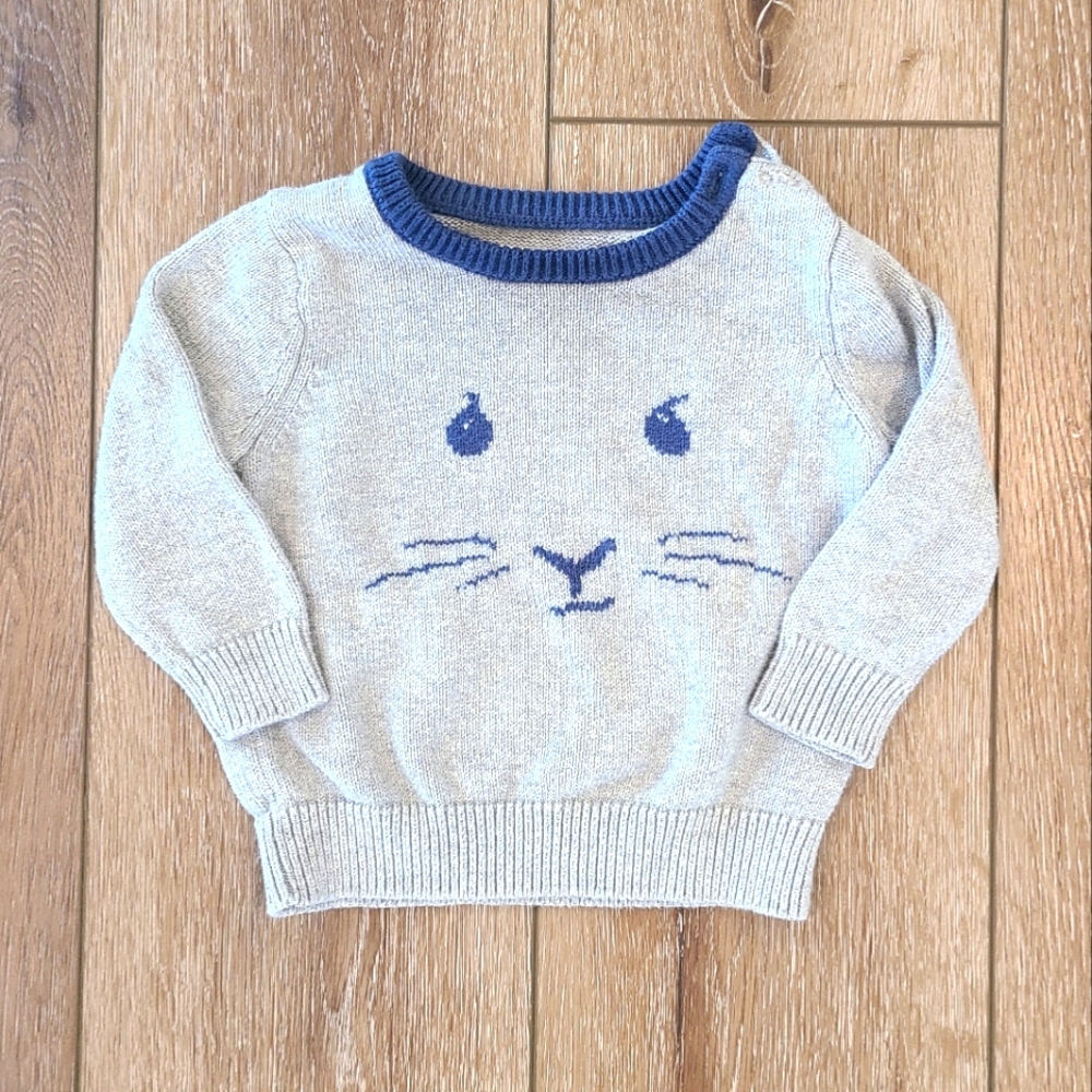 Beatrix Potter for Baby Gap gray sweater size 6-12 months